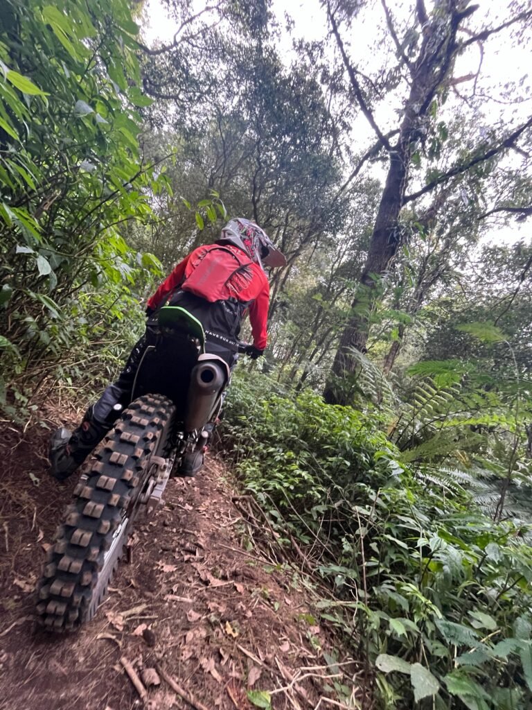 ea717dc5 f029 4d17 aa88 a4b67abadcac